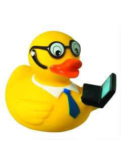 Squeaky duck, laptop